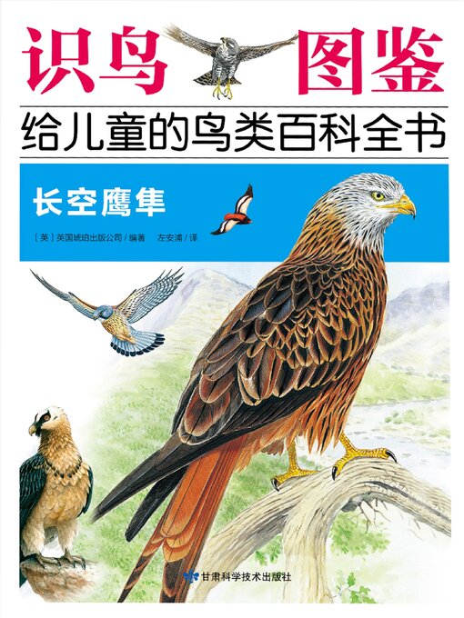 Cover image for 长空鹰隼
